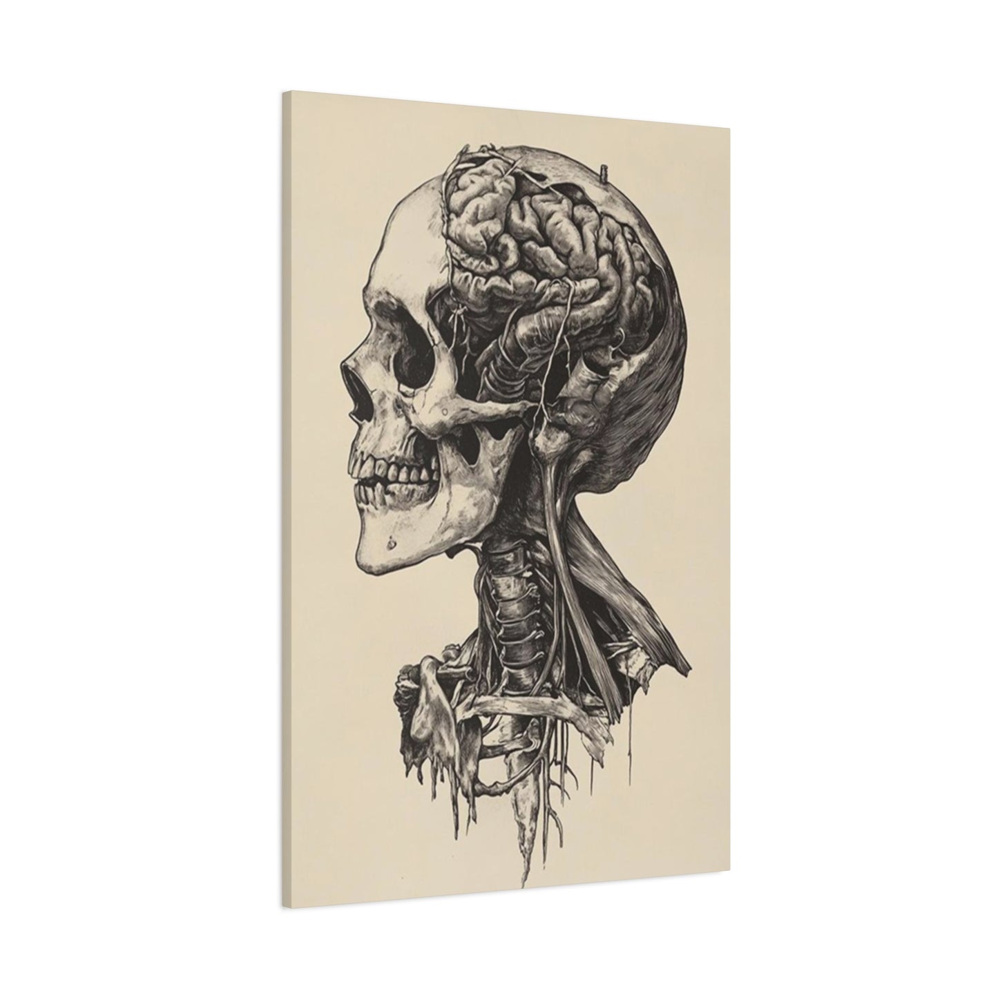 Brain In Skull Wall Art & Canvas Prints