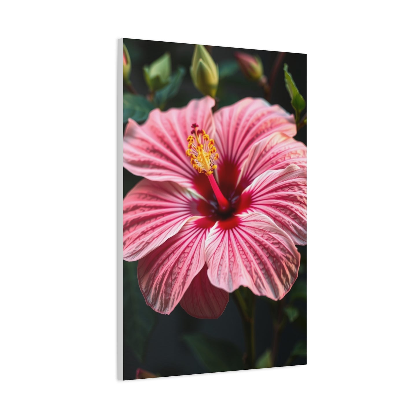 Supreme Hibiscus Flower Art Wall Art & Canvas Print